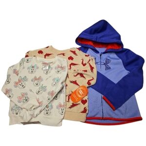 Kids 3T And 4T Set Minnie And Origami Sweatshirts And Under Armour Jacket